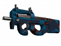 P90 Blind Spot
